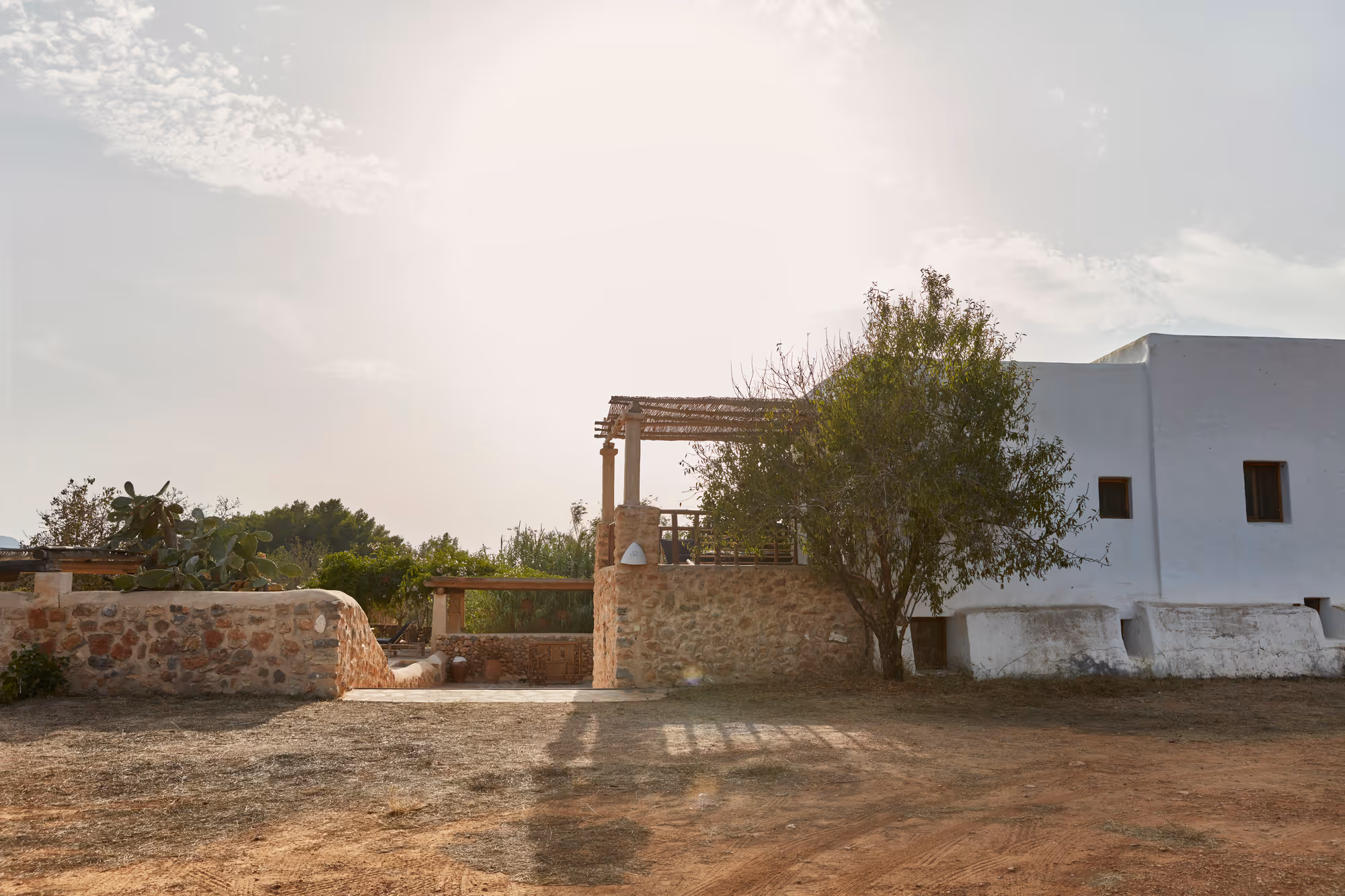 Villa rustique en pierre et stuc blanc baigné de soleil, avec un arbre devant et de la verdure tout autour.